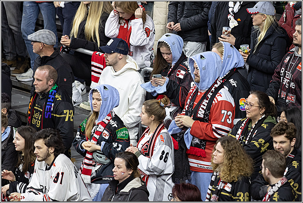 PENNY DEL;  Koelner Haie - Bietigheim Steelers; Koeln, 22.01.2023